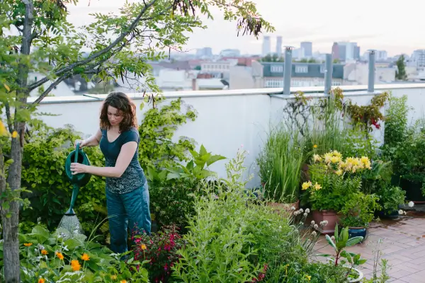 Selecionando as Melhores Plantas para o seu Espaço Urbano: Guia Prático