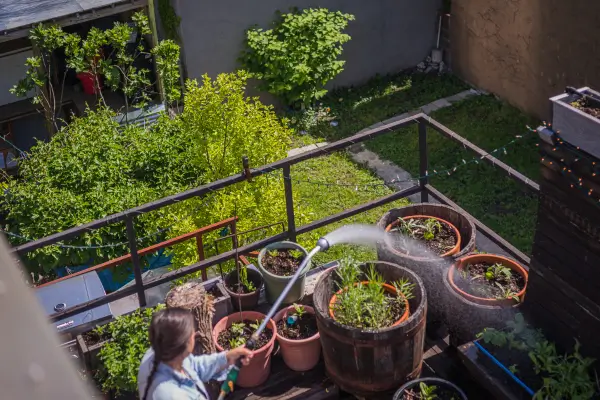 Jardinagem Urbana: Descubra as Plantas mais Adaptáveis à Vida na Cidade