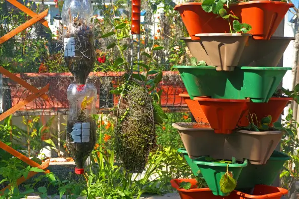 Escolhendo Plantas para Jardins Verticais: Dicas Essenciais