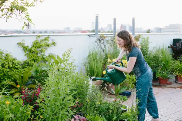 Plantas Tolerantes e Resistentes: Uma Lista para Jardineiros Urbanos