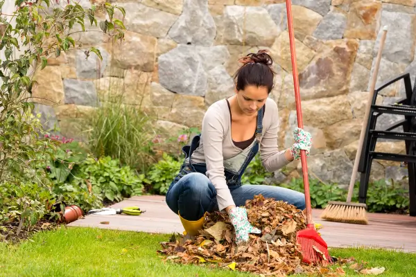 Manutenção Sazonal: Cuidados Cruciais para seu Jardim Urbano no Outono e Inverno