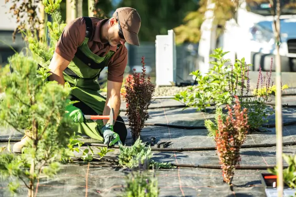 A Importância da Aeração do Solo na Manutenção de Jardins Urbanos: Dicas Práticas