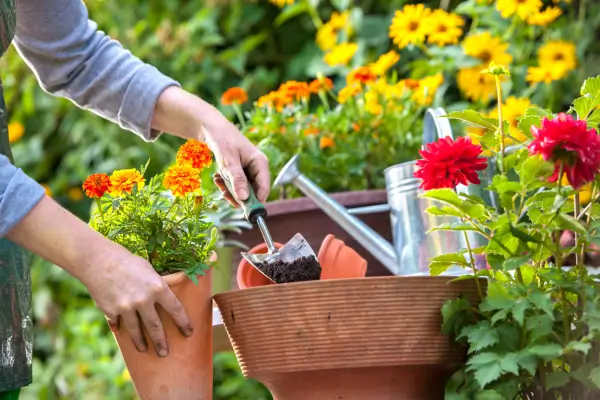 Como Manter seu Jardim Urbano Lindo com Pouco Esforço