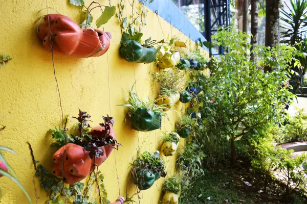 Segredos da Jardinagem Vertical: Como Cultivar em Pequenos Espaços