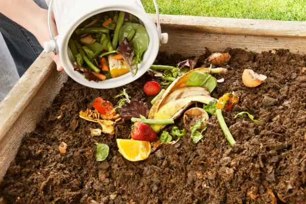 Compostagem na Cidade: Transforme Resíduos em Nutrientes para Seu Jardim