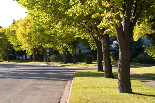 Microclimas Urbanos: Adaptando Técnicas de Cultivo ao Ambiente da Cidade