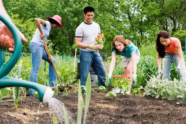 Jardins Comunitários: Como Criar e Manter Espaços Verdes Compartilhados na Cidade