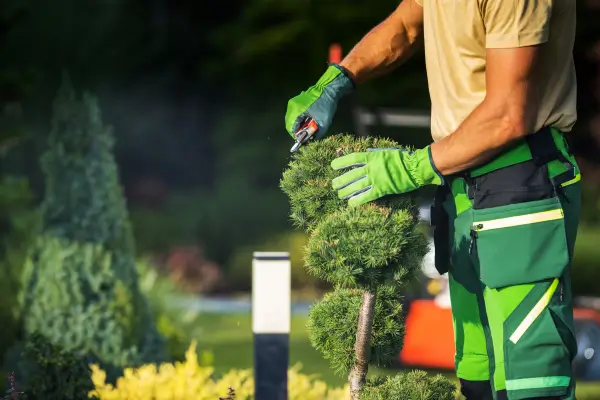 Podando com Precisão: Dicas para Manter Seu Jardim Urbano Forte e Bonito