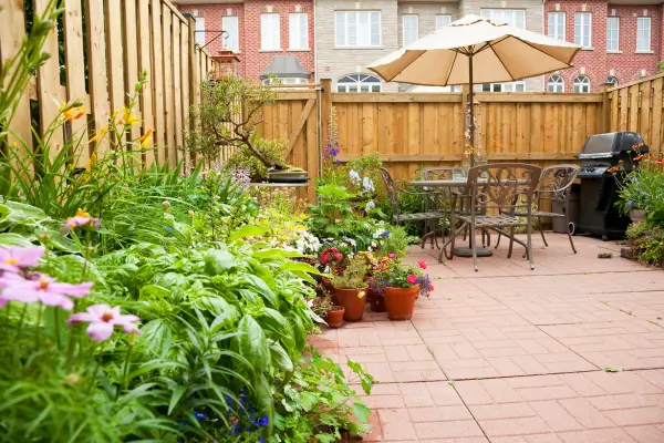 Cultivo Inteligente: Dicas Práticas para Jardinagem Urbana Eficiente